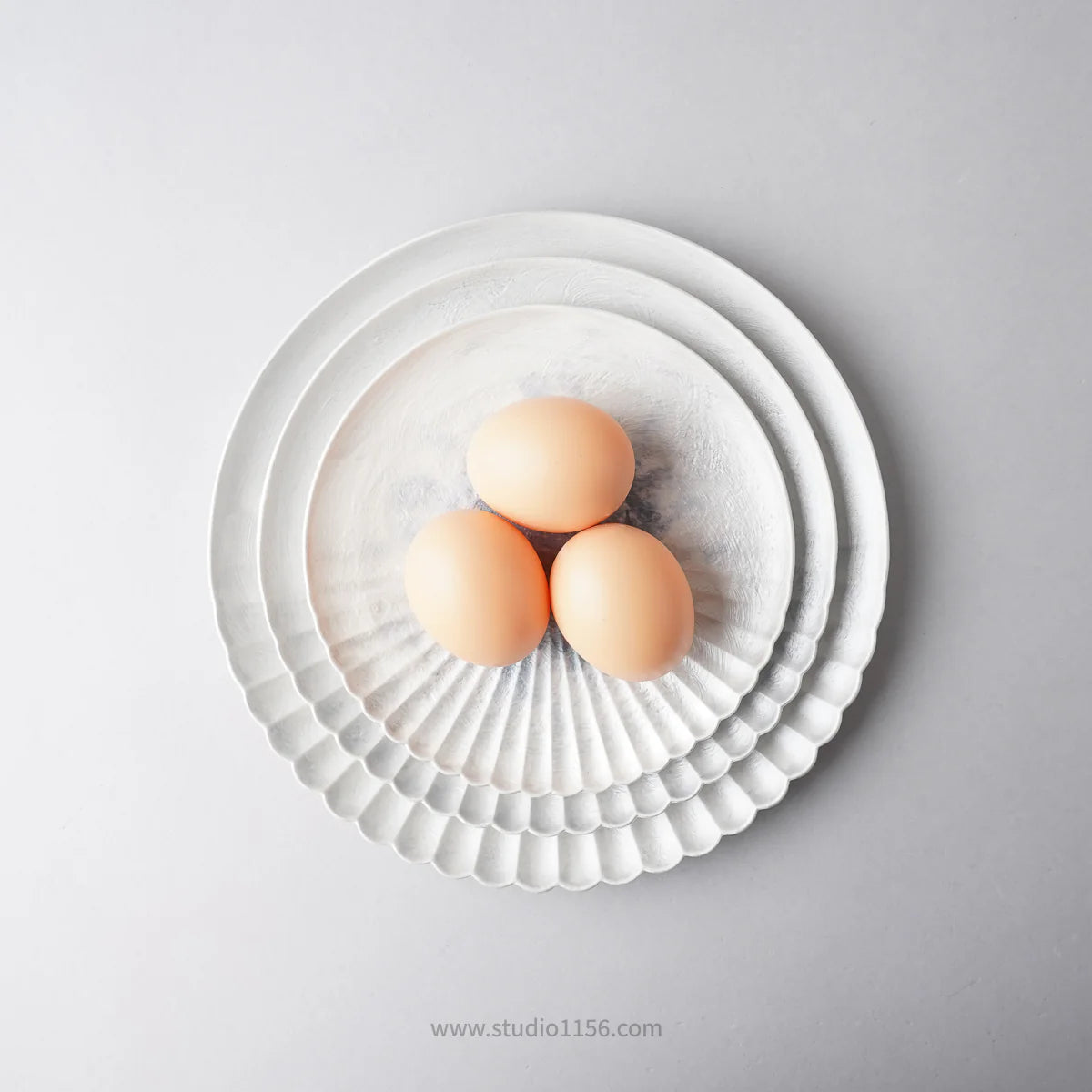 有田焼 片菊割プレート(S) 16.5cm